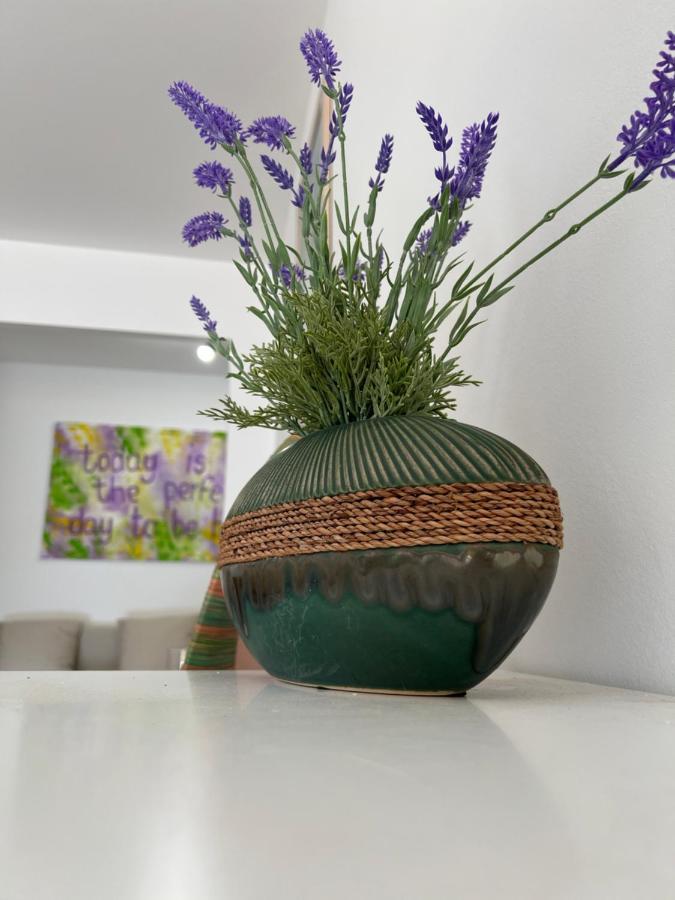 Casa Vacanze Lavanda ม็องตง ภายนอก รูปภาพ